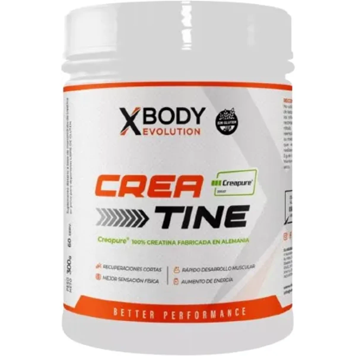 Creatine Creapure X 300g
