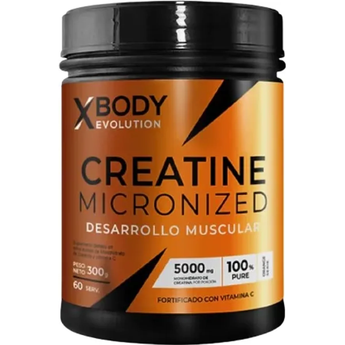 X Body Creatine Micronized 300g