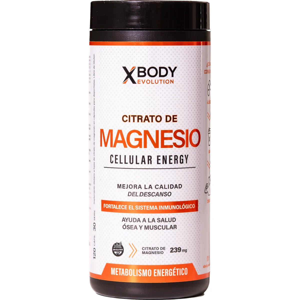Citrato De Magnesio ( ) - X- Body Evolution - Black Line 120caps